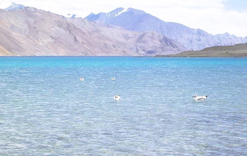 Ladakher Taj Pangong